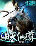 宝莲灯同人之守护