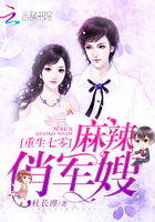 重生七零:麻辣俏军嫂