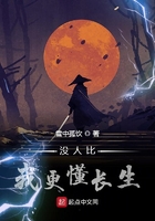 书生有种