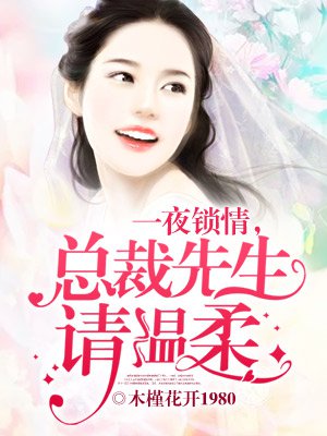 一夜锁情,总裁先生请温柔(情深不负,总裁老公太霸道)