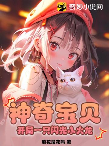 神奇宝贝:开局一只闪光小火龙