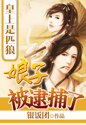 皇上是匹狼:娘子被逮捕了